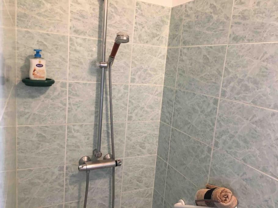 Appartement 55M2 En Beaujolais & Enedis A 15 Min Saint-Germain-Nuelles Екстериор снимка